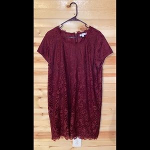 Like new Downeast lace dress